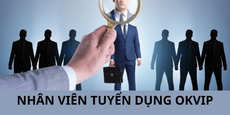 Tổng hợp các chính sách của nhân viên tuyển dụng được hưởng 